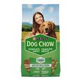 NO NAME Dog food for adult dogs, 2 kg